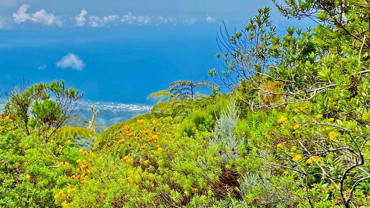 Plumeria Holidays Saint Pierre Εξωτερικό φωτογραφία